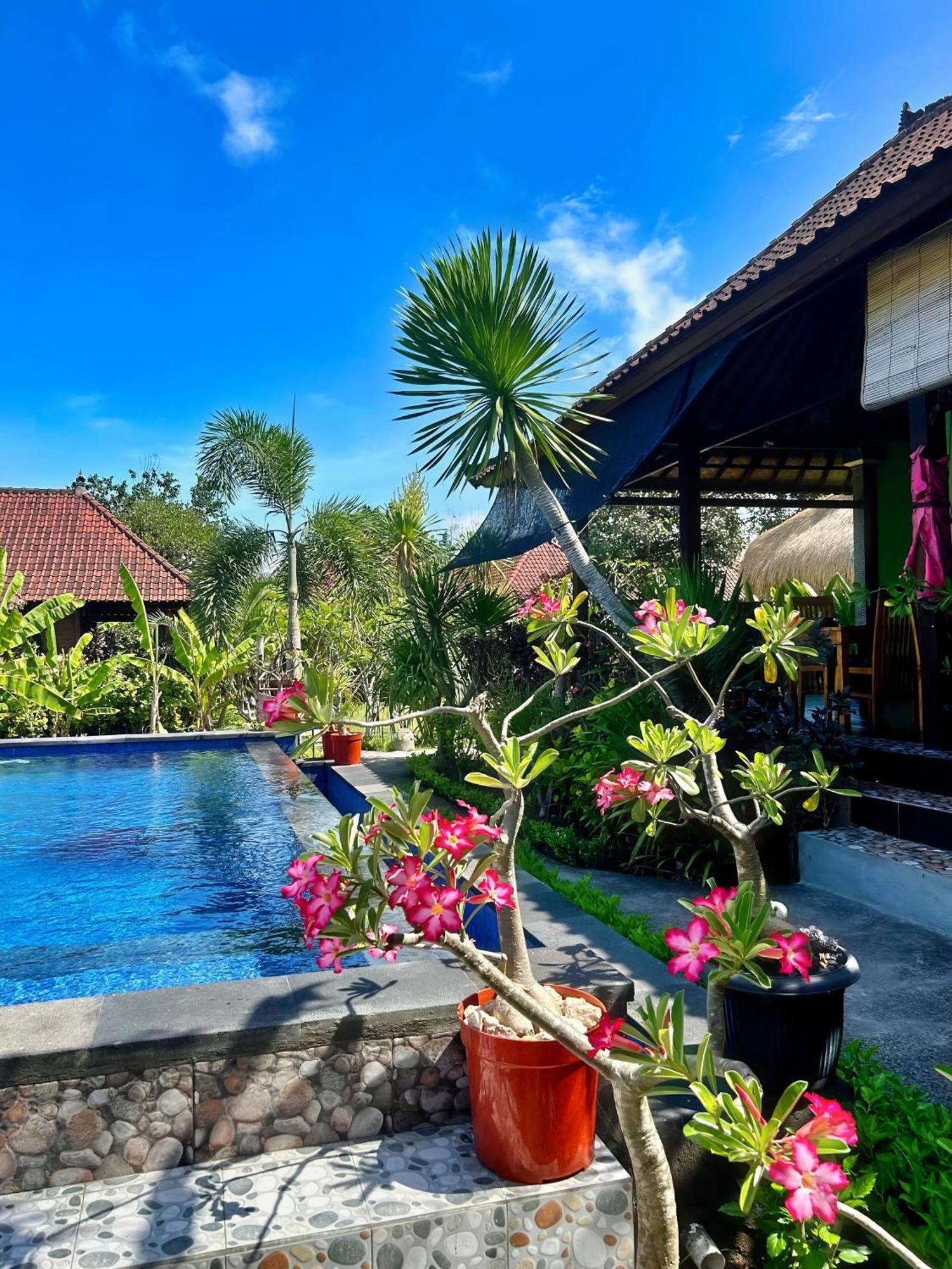 Island Garden Huts Lembongan Bed & Breakfast Екстериор снимка