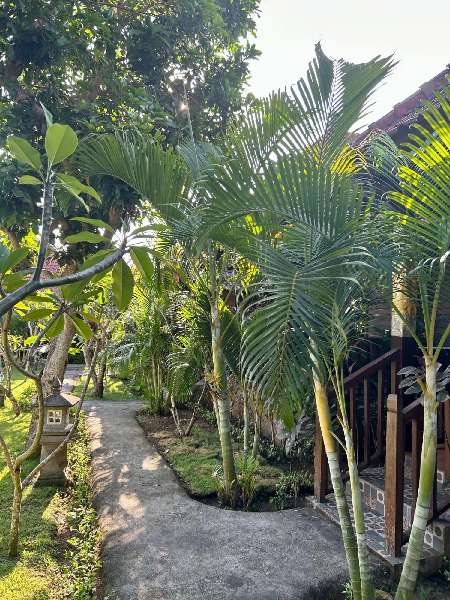 Island Garden Huts Lembongan Bed & Breakfast Екстериор снимка