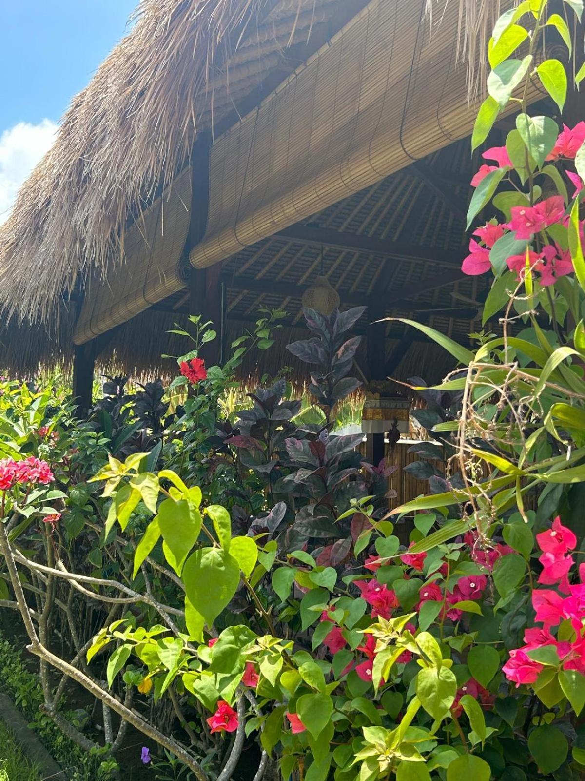 Island Garden Huts Lembongan Bed & Breakfast Екстериор снимка