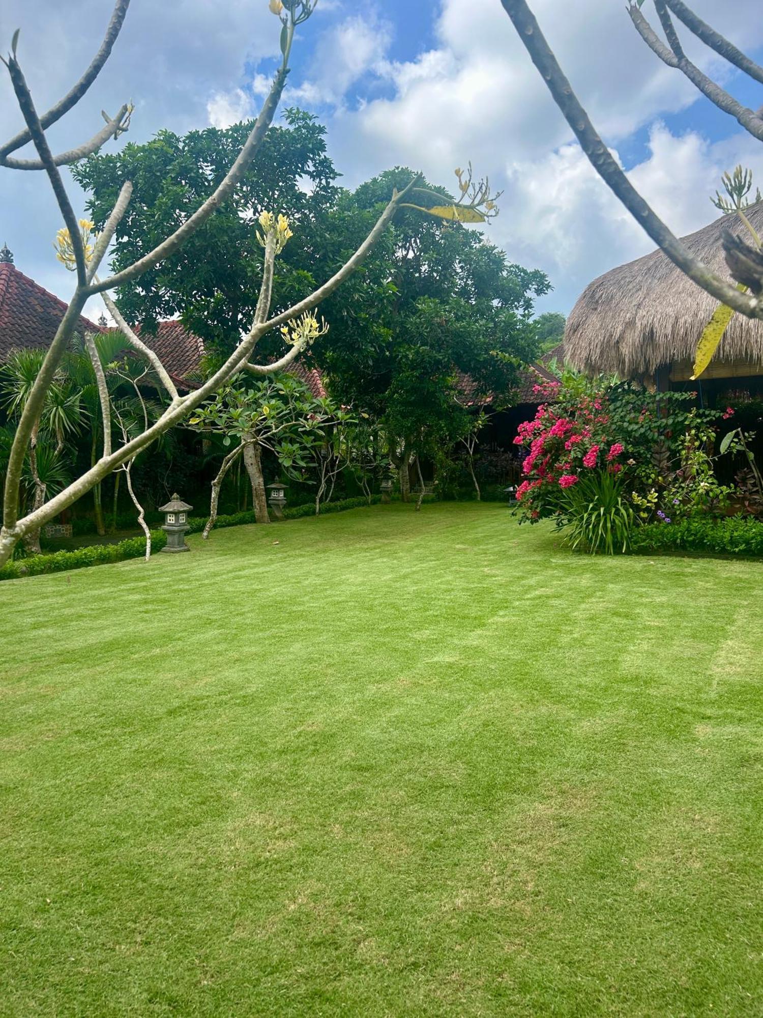Island Garden Huts Lembongan Bed & Breakfast Екстериор снимка