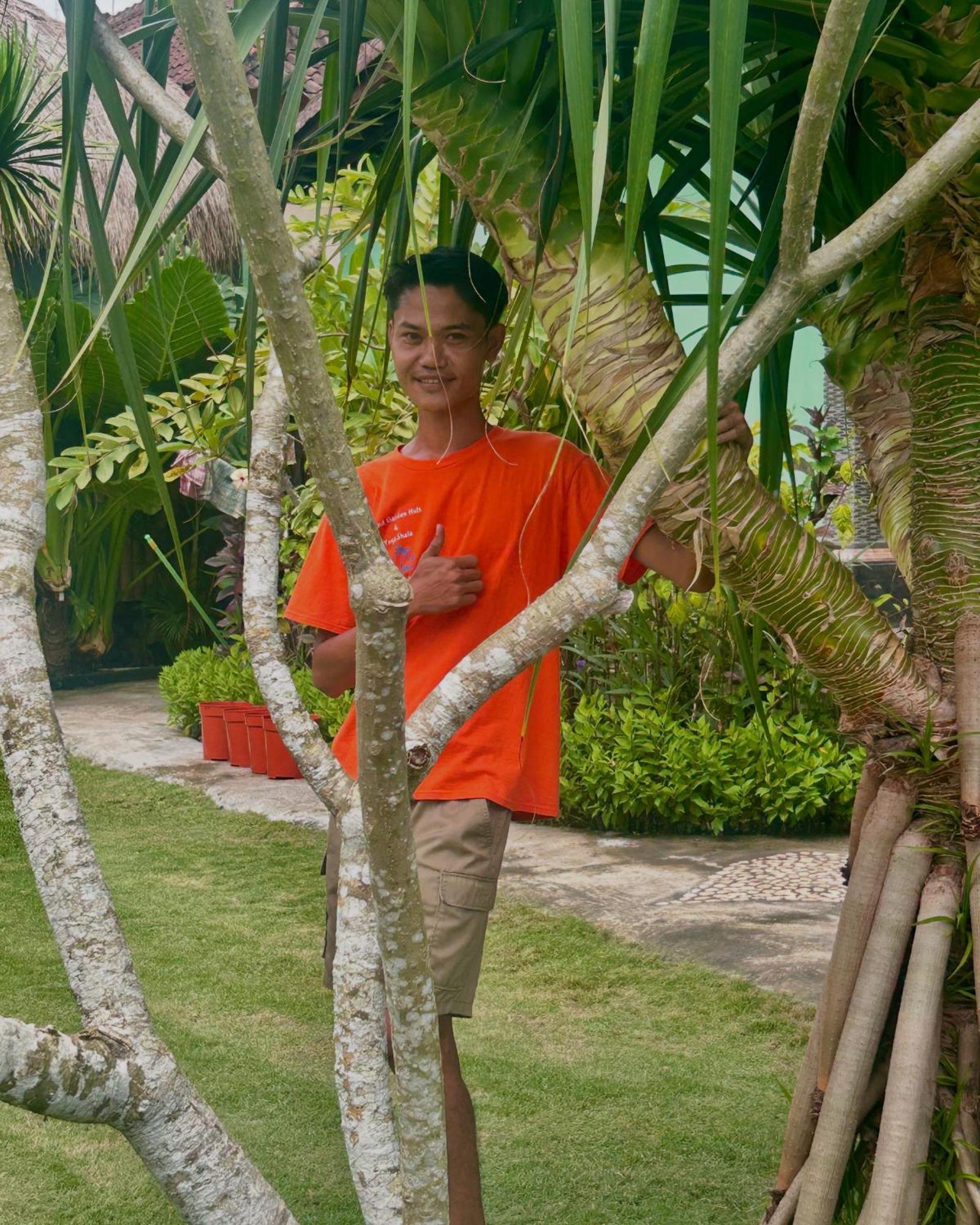 Island Garden Huts Lembongan Bed & Breakfast Екстериор снимка